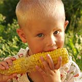 Benefits of Corns