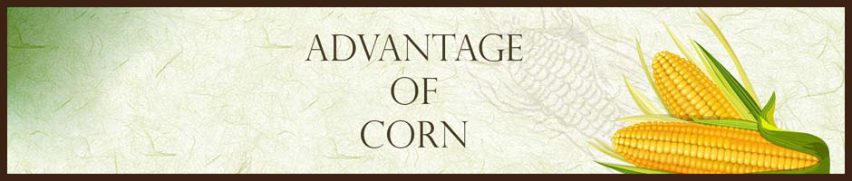 Heading Banner